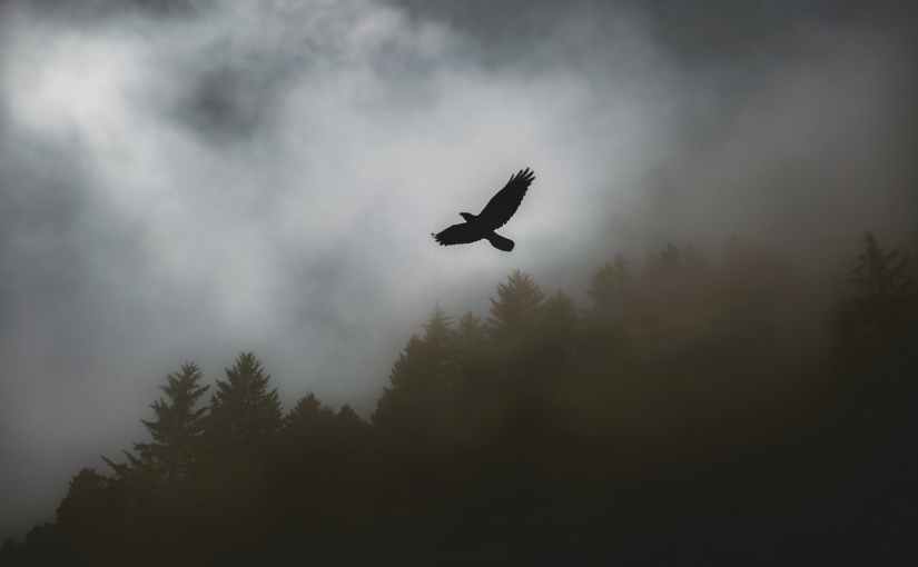 Tentang Pengalaman Spiritual